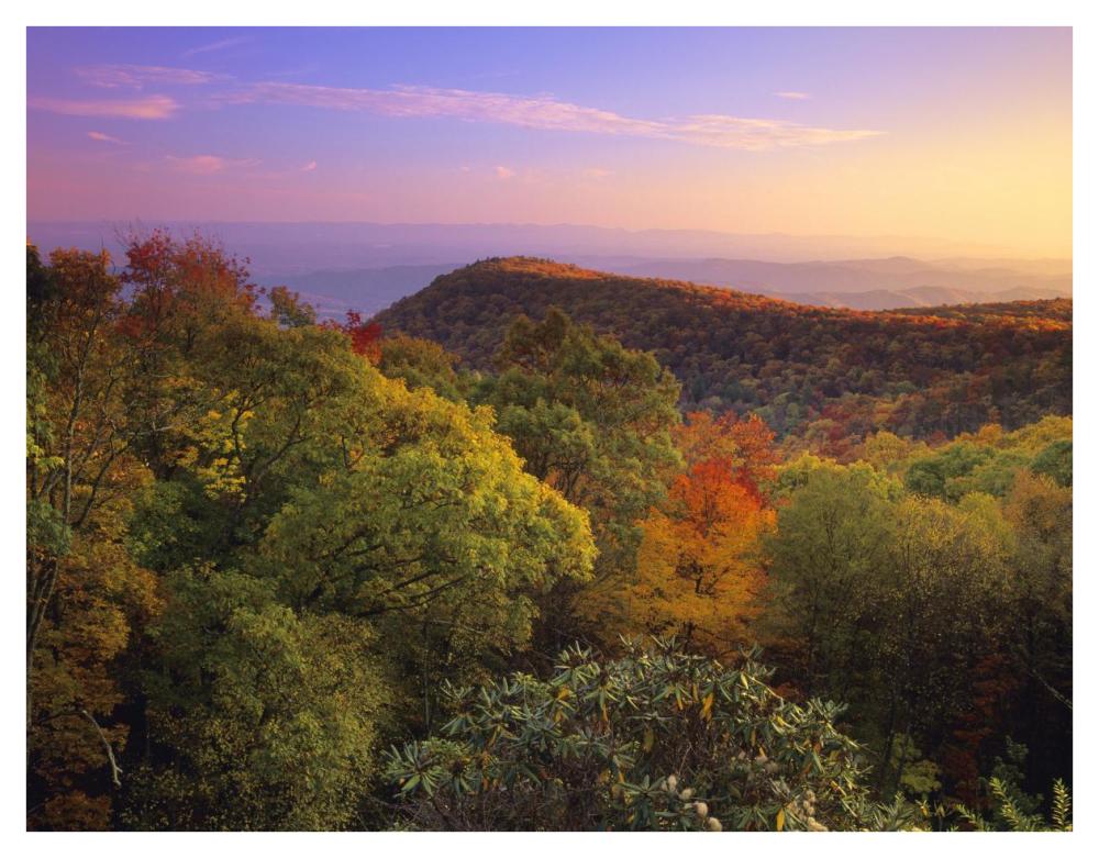 Blue Ridge Mountains with deciduous forests in autumn, North Carolina-Paper Art-42"x32"