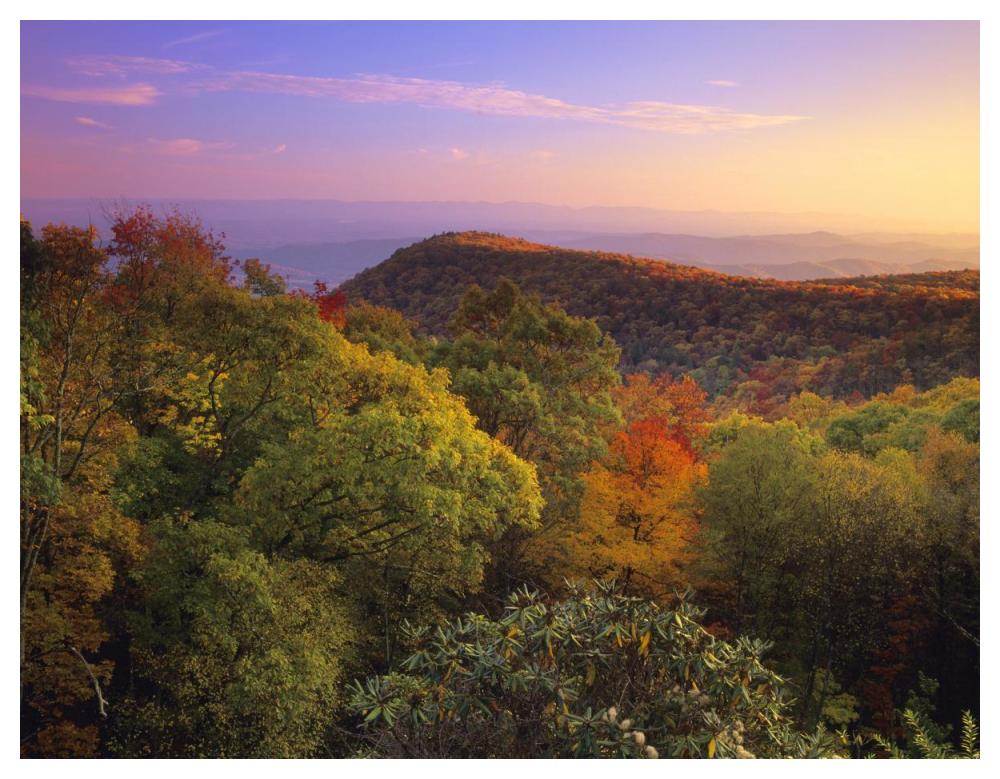 Blue Ridge Mountains with deciduous forests in autumn, North Carolina-Paper Art-50"x38"