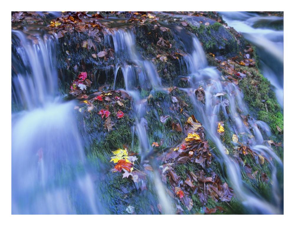 Laurel Creek cascades, Great Smoky Mountains National Park, Tennessee-Paper Art-26"x20"