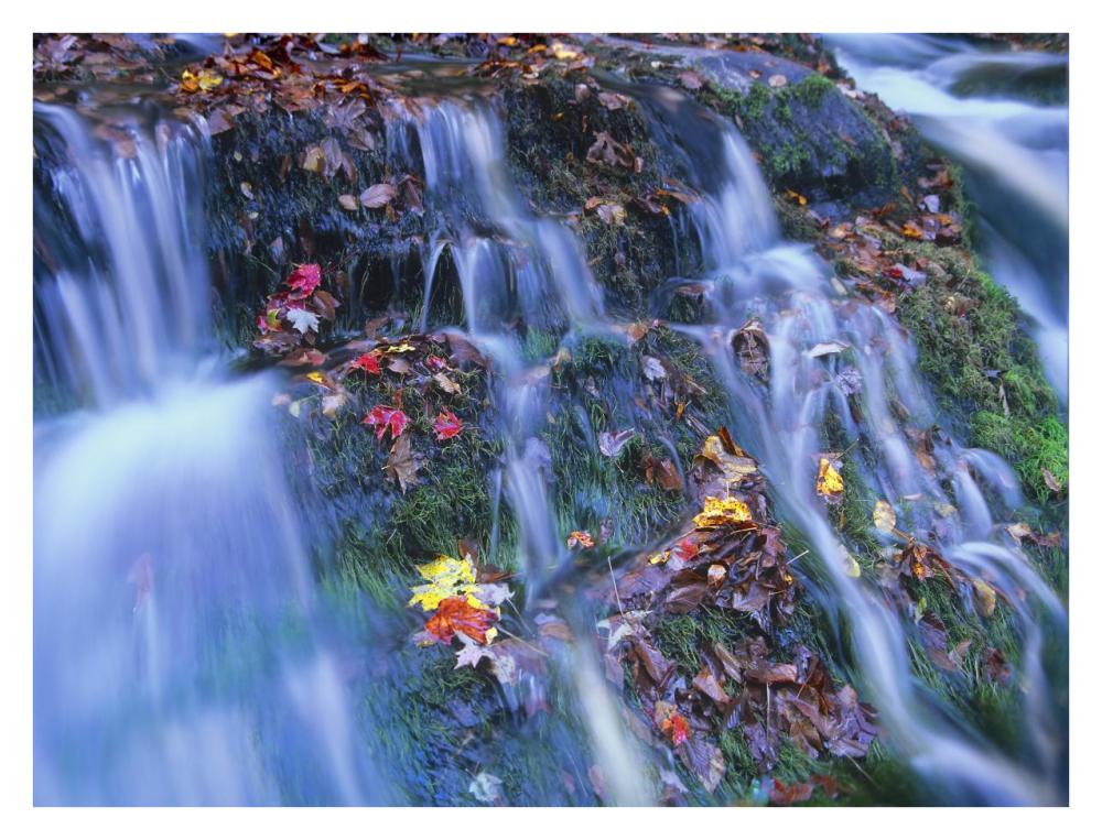 Laurel Creek cascades, Great Smoky Mountains National Park, Tennessee-Paper Art-34"x26"