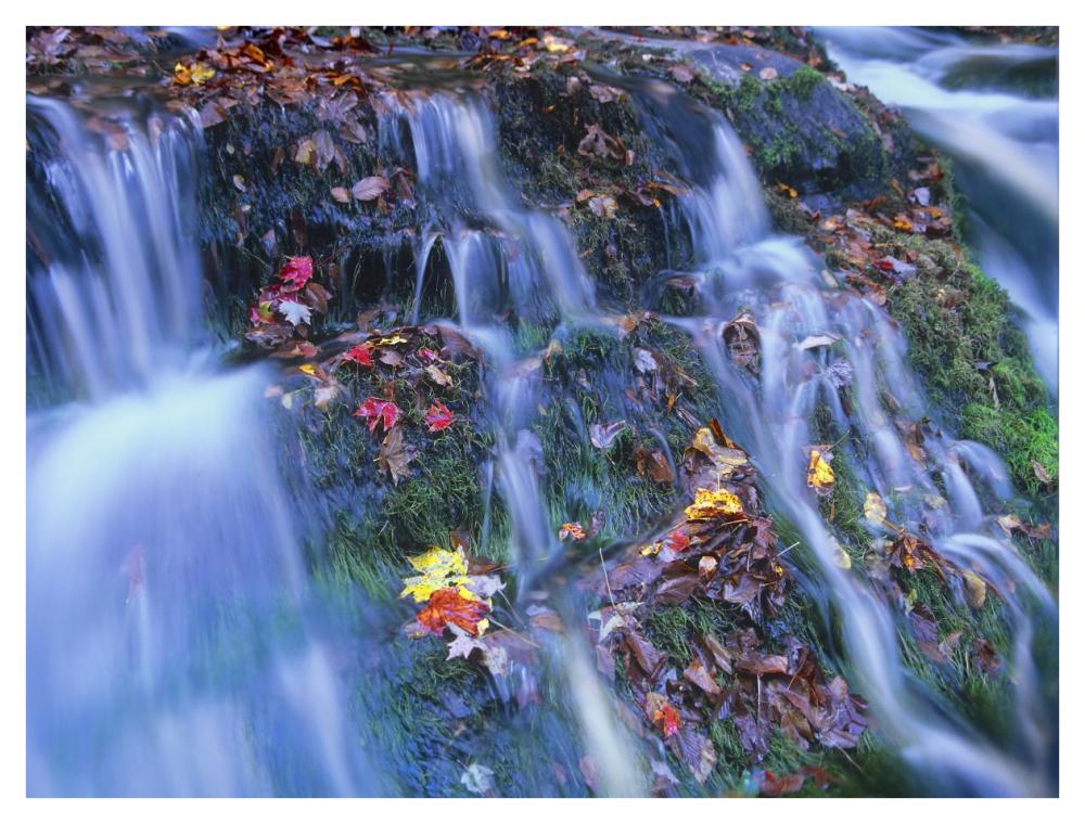 Laurel Creek cascades, Great Smoky Mountains National Park, Tennessee-Paper Art-42"x32"