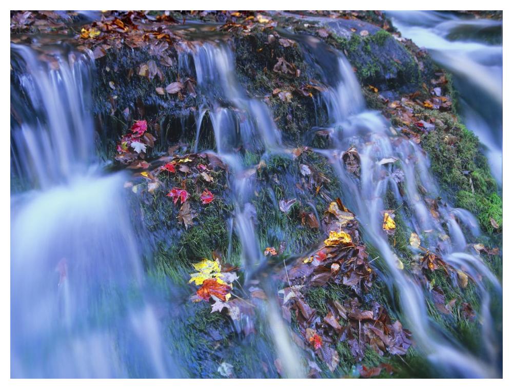 Laurel Creek cascades, Great Smoky Mountains National Park, Tennessee-Paper Art-50"x38"