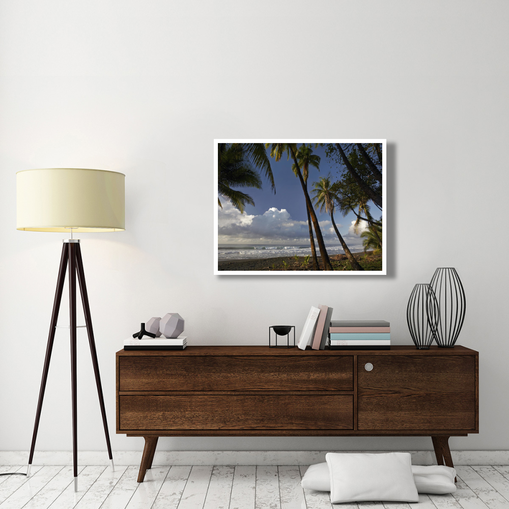 Palm trees on the beach near Marino Ballena National Park, Costa Rica-Paper Art-42&quotx32"