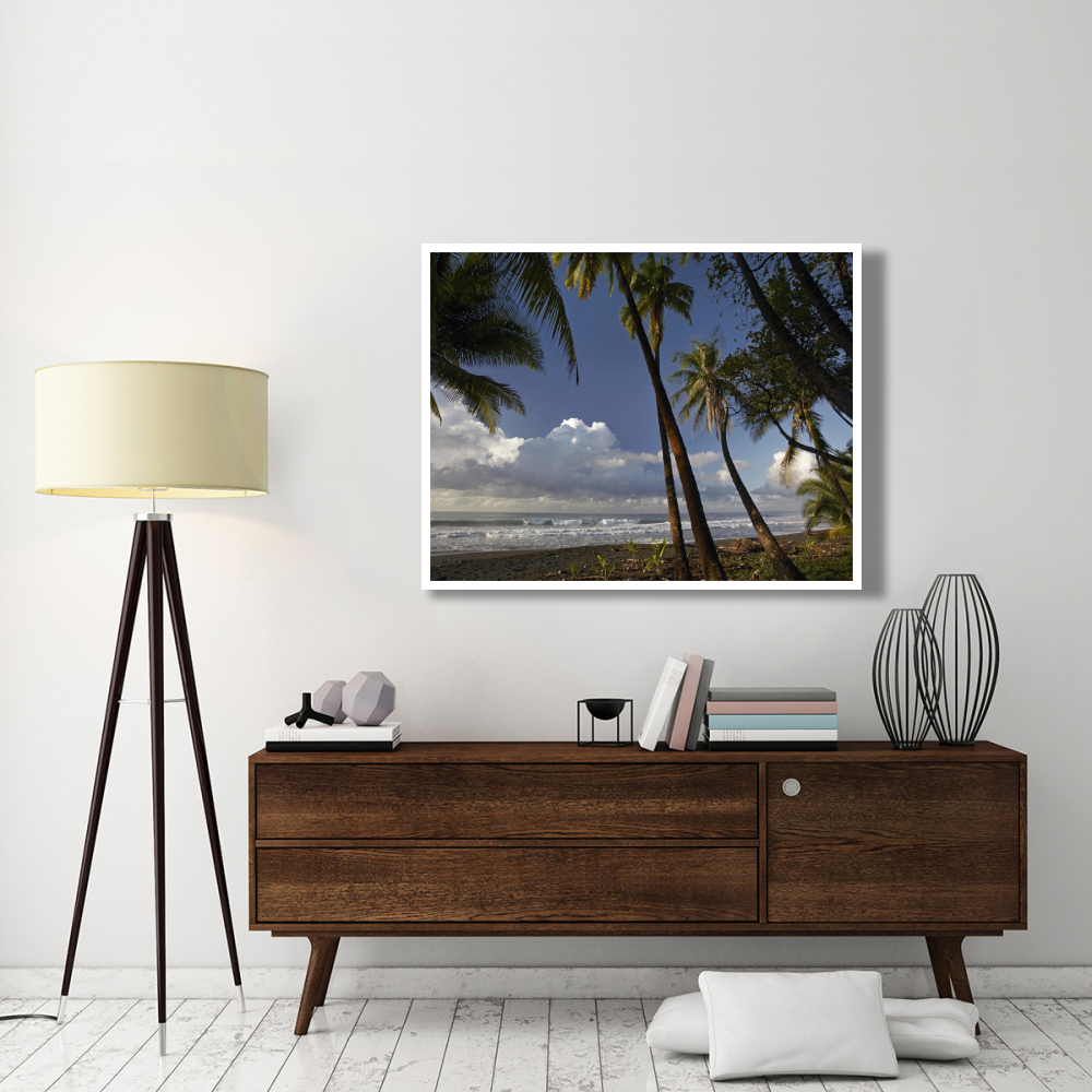 Palm trees on the beach near Marino Ballena National Park, Costa Rica-Paper Art-50&quotx38"
