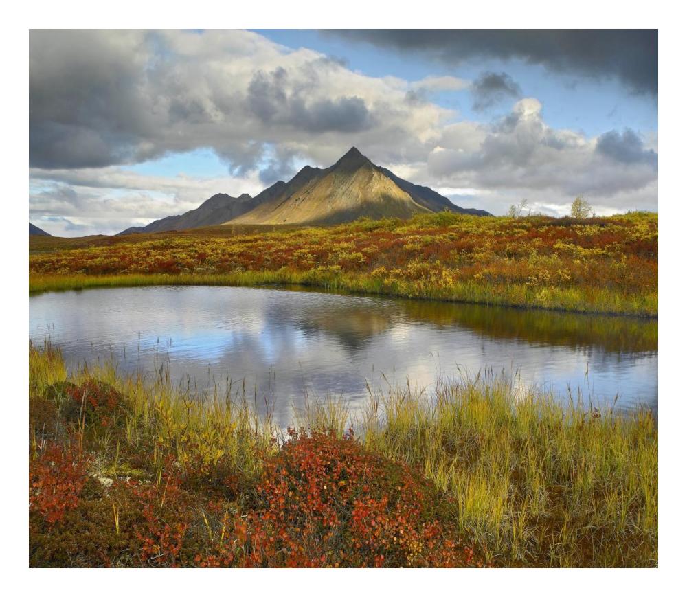 Pond and Ogilvie Mountains, Tombstone Territorial Park, Yukon, Canada-Paper Art-24"x20.92"