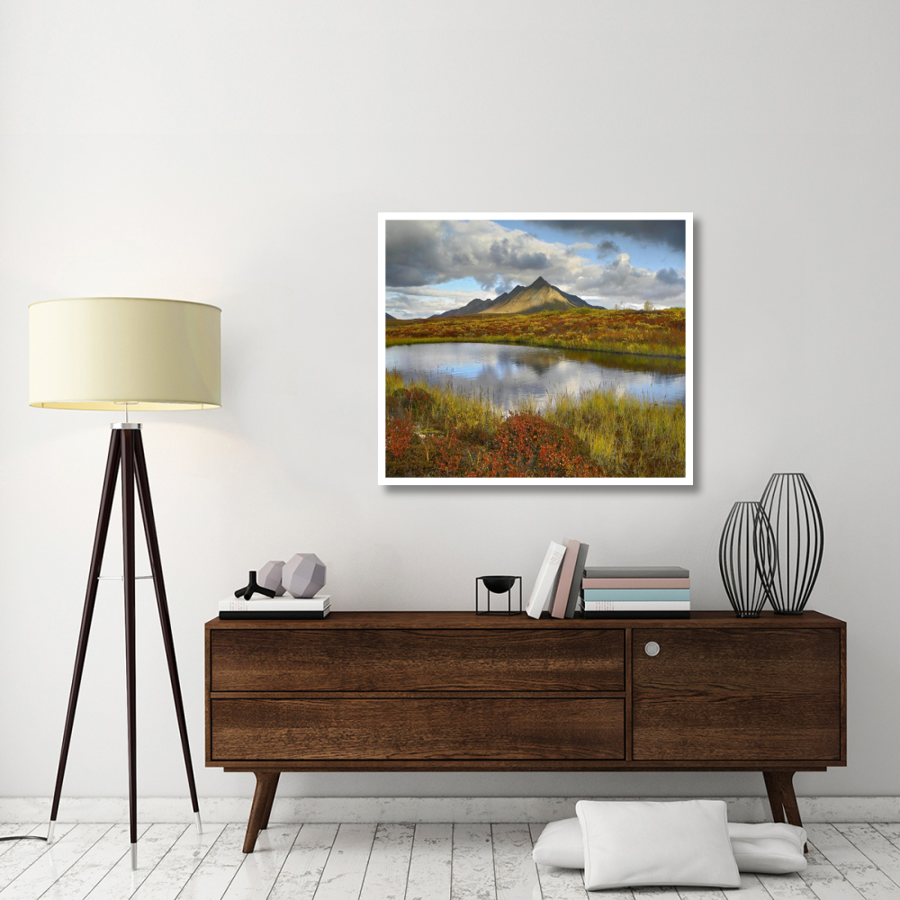 Pond and Ogilvie Mountains, Tombstone Territorial Park, Yukon, Canada-Paper Art-42&quotx36.4"