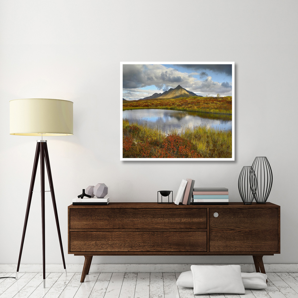 Pond and Ogilvie Mountains, Tombstone Territorial Park, Yukon, Canada-Paper Art-46&quotx39.84"