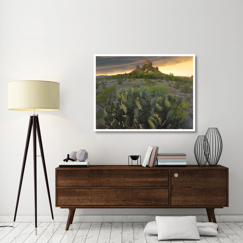 Opuntia and hoodoos, Big Bend National Park, Chihuahuan Desert, Texas-Paper Art-50&quotx38"