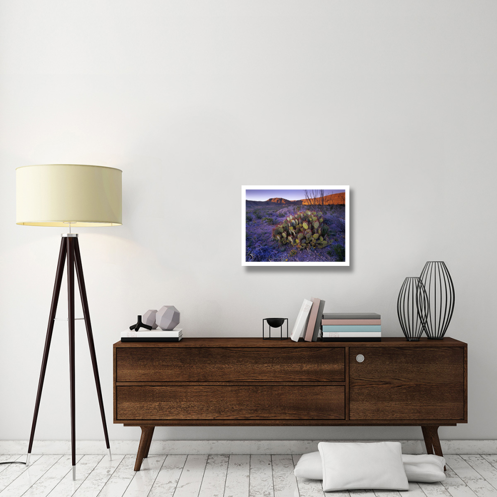Opuntia in Chihuahuan Desert landscape, Big Bend National Park, Texas-Paper Art-26&quotx20"