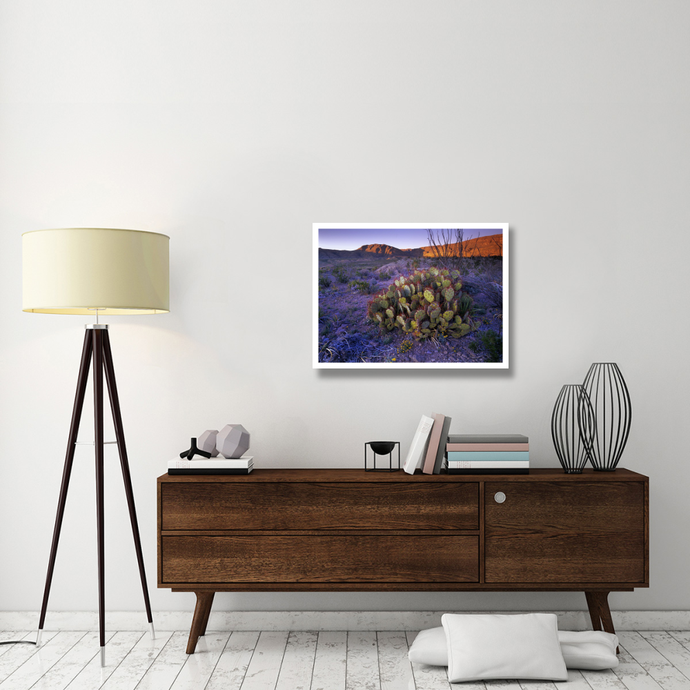 Opuntia in Chihuahuan Desert landscape, Big Bend National Park, Texas-Paper Art-34&quotx26"