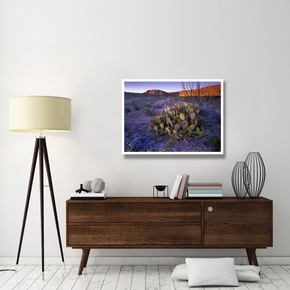 Opuntia in Chihuahuan Desert landscape, Big Bend National Park, Texas-Paper Art-42&quotx32"