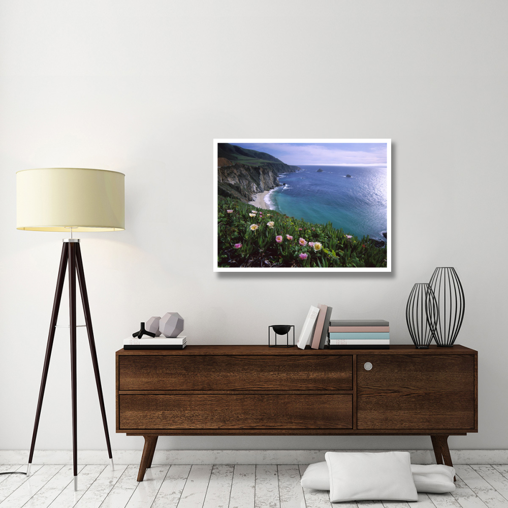 Ice Plant or Hottentot Fig Big Sur coast near Bixby Creek, California-Paper Art-42&quotx32"