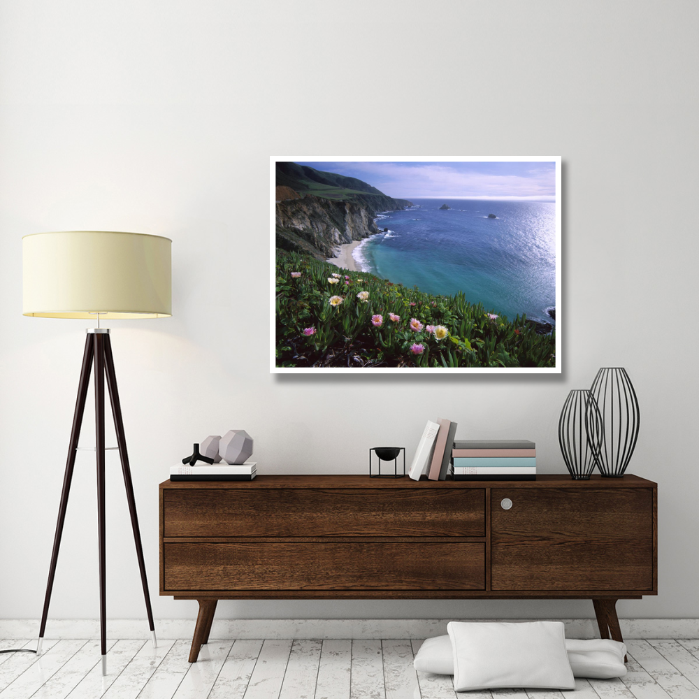 Ice Plant or Hottentot Fig Big Sur coast near Bixby Creek, California-Paper Art-50&quotx38"