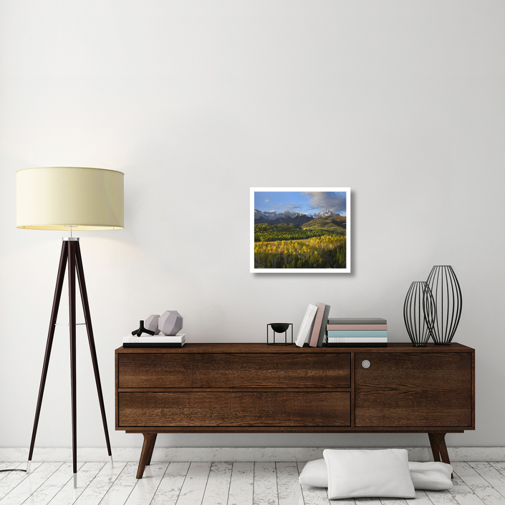 Quaking Aspen forest and Mount Sneffels, San Juan Mountains, Colorado-Paper Art-24&quotx20.26"