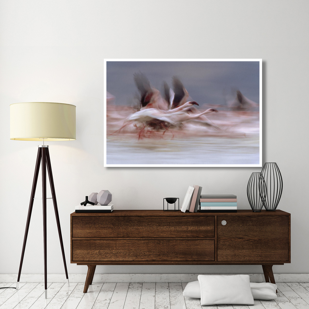 Lesser Flamingo flock taking flight from the surface of a lake, Kenya-Paper Art-62&quotx42"
