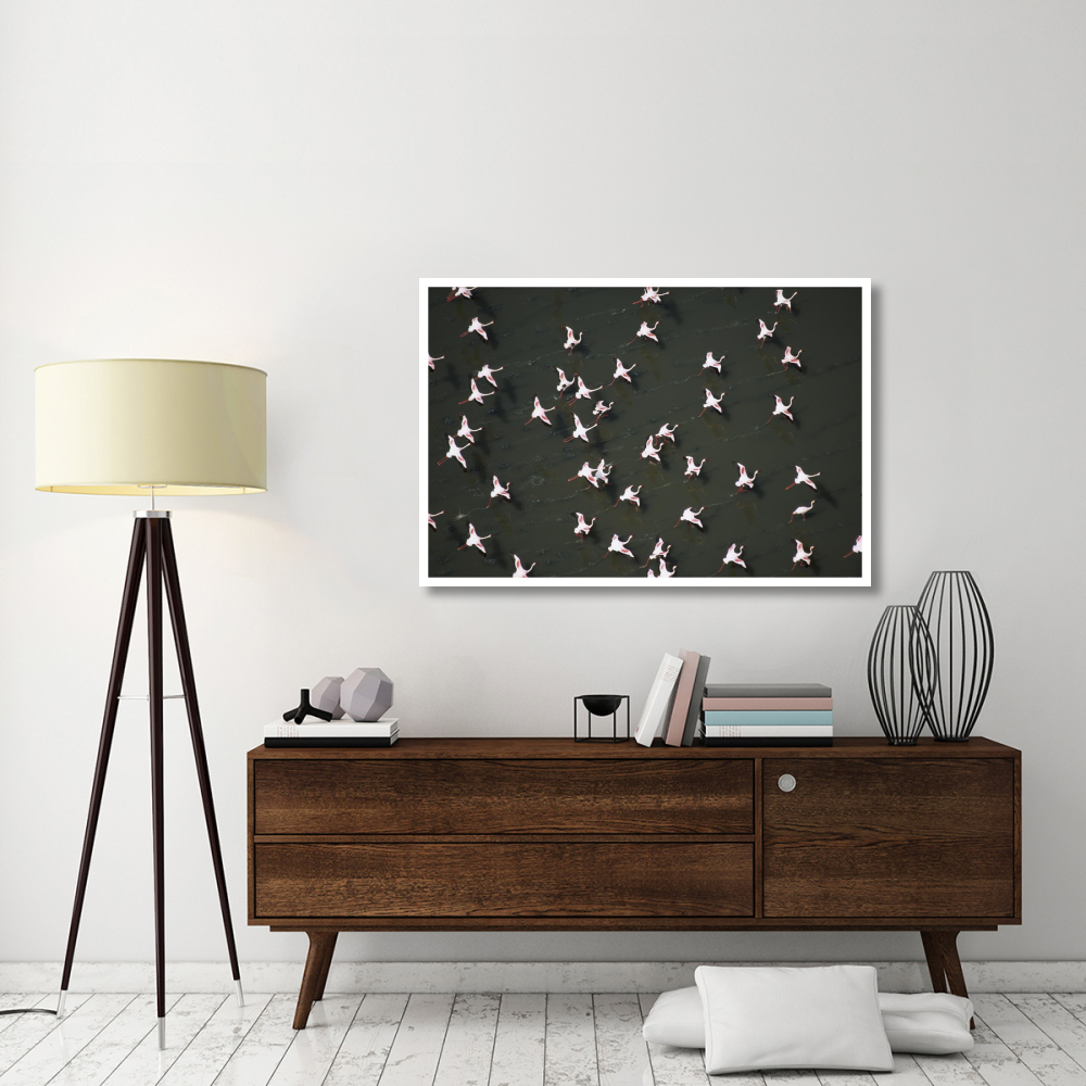 Lesser Flamingo flock taking flight from the surface of a lake, Kenya-Paper Art-50&quotx34"