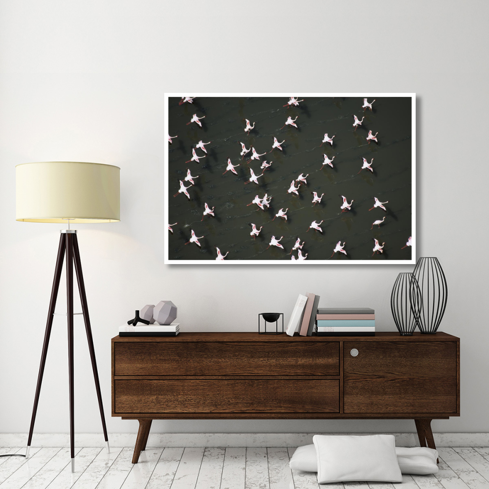 Lesser Flamingo flock taking flight from the surface of a lake, Kenya-Paper Art-62&quotx42"