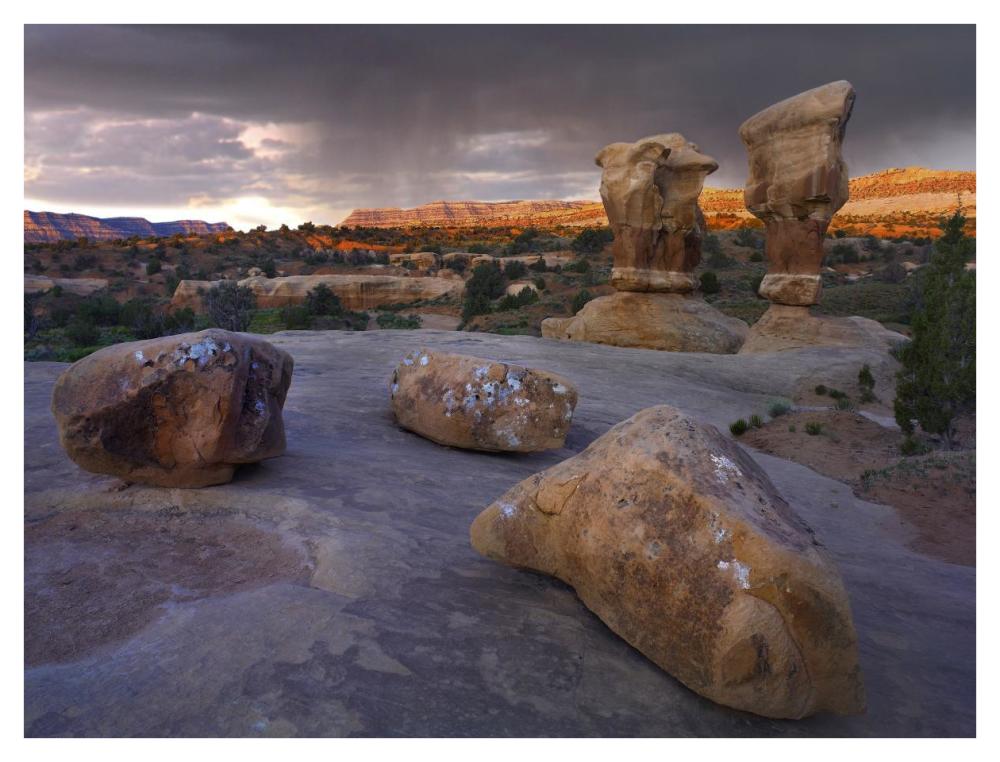 Devil's Garden sandstone formations, Escalante National Monument, Utah-Paper Art-42"x32"