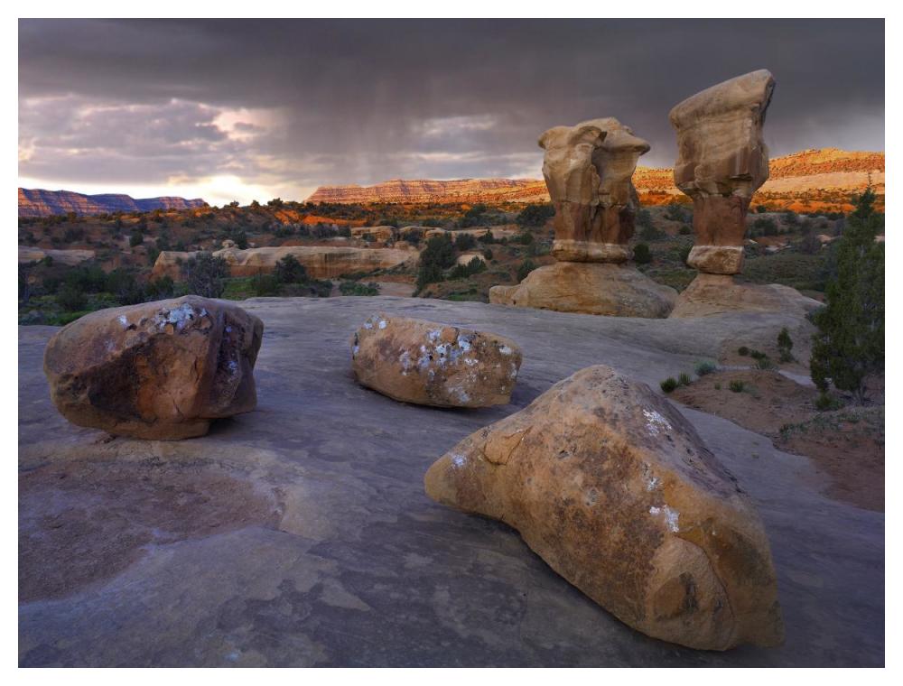 Devil's Garden sandstone formations, Escalante National Monument, Utah-Paper Art-50"x38"