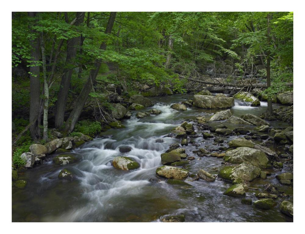Little Stony Creek flowing through Jefferson National Forest, Virginia-Paper Art-26"x20"