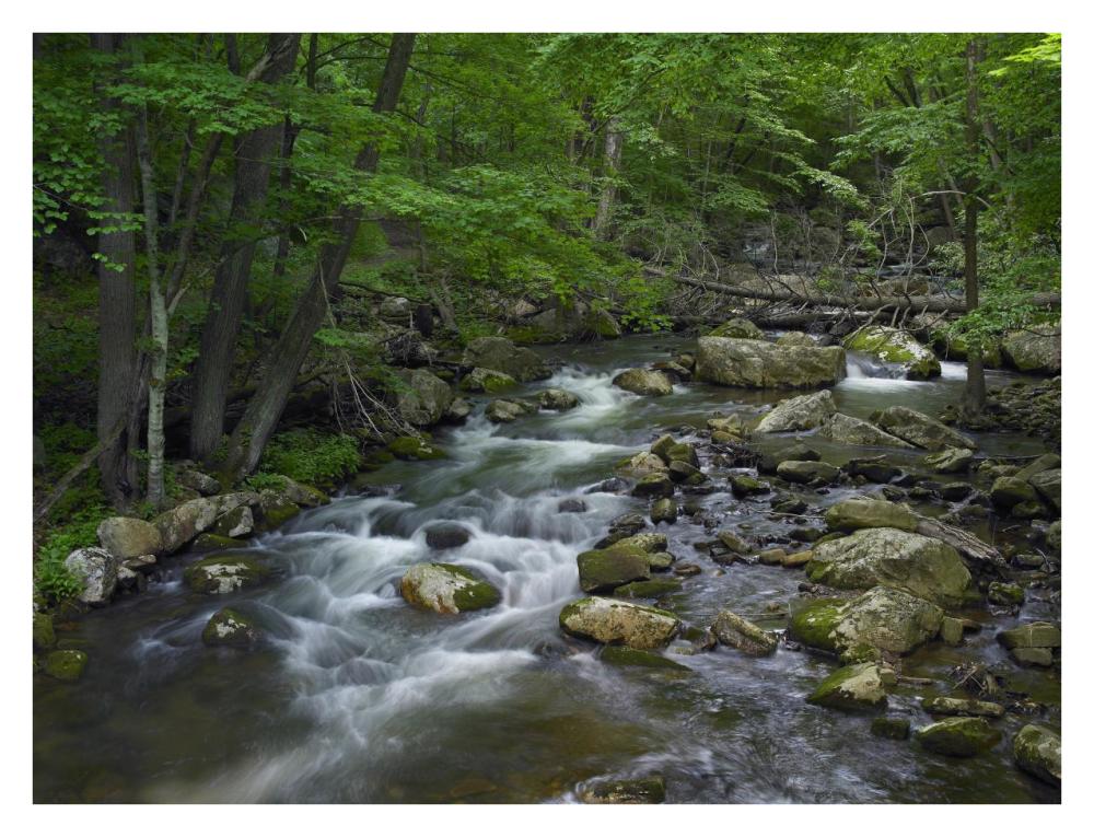 Little Stony Creek flowing through Jefferson National Forest, Virginia-Paper Art-34"x26"