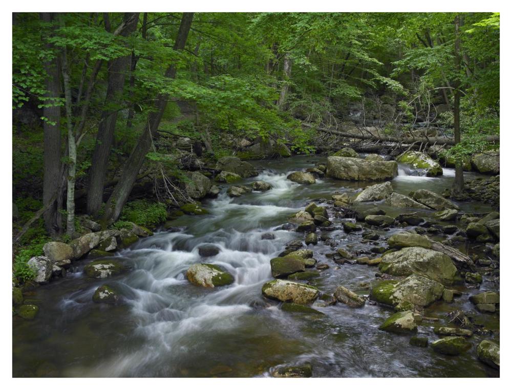 Little Stony Creek flowing through Jefferson National Forest, Virginia-Paper Art-42"x32"
