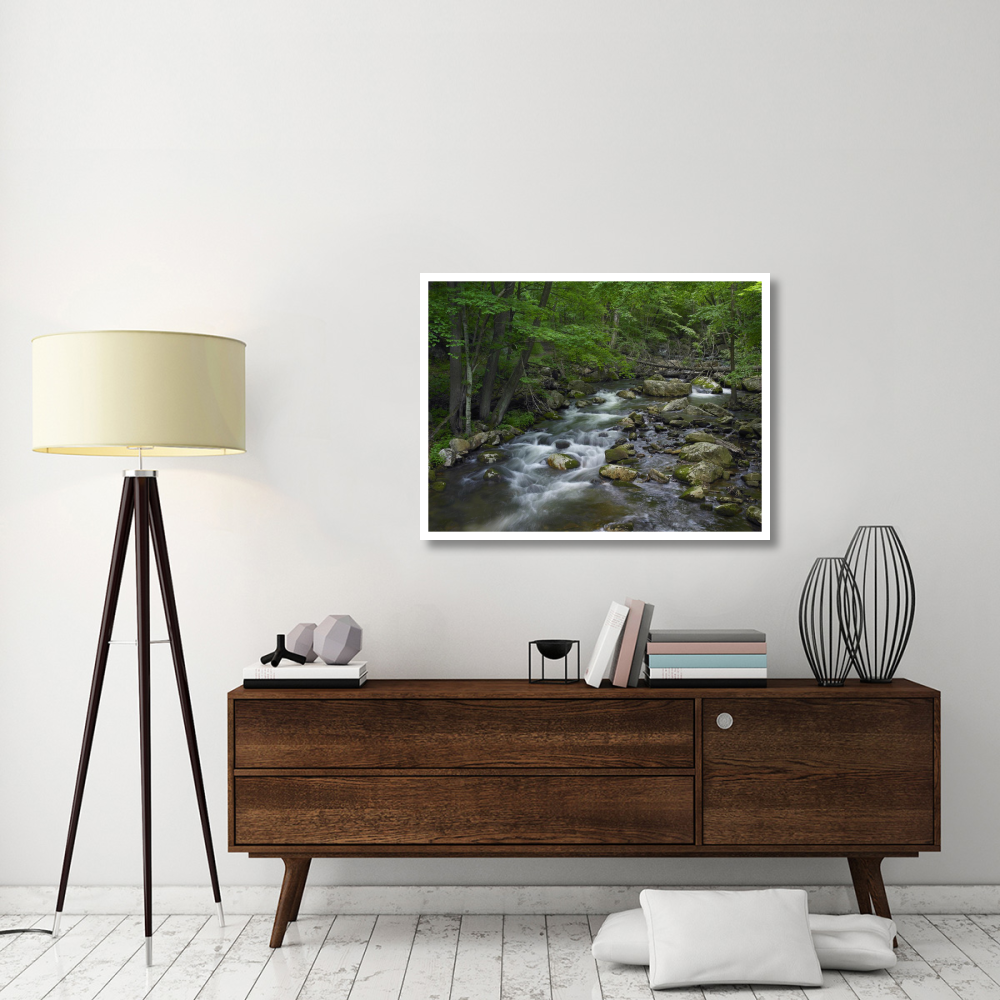Little Stony Creek flowing through Jefferson National Forest, Virginia-Paper Art-42&quotx32"