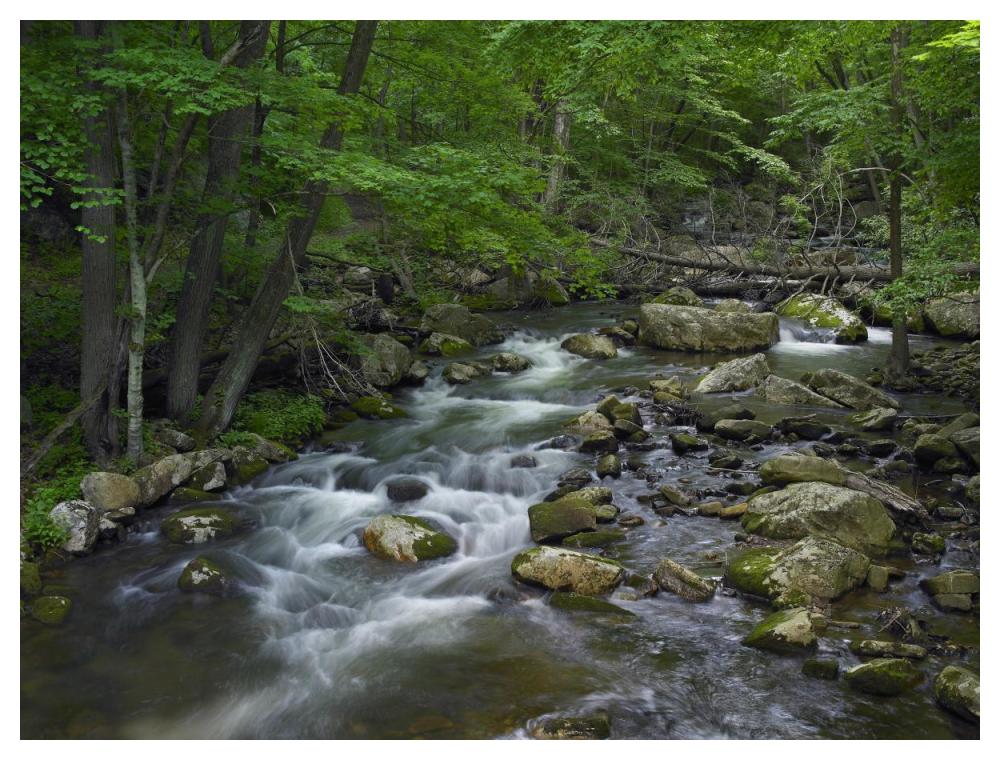 Little Stony Creek flowing through Jefferson National Forest, Virginia-Paper Art-50"x38"