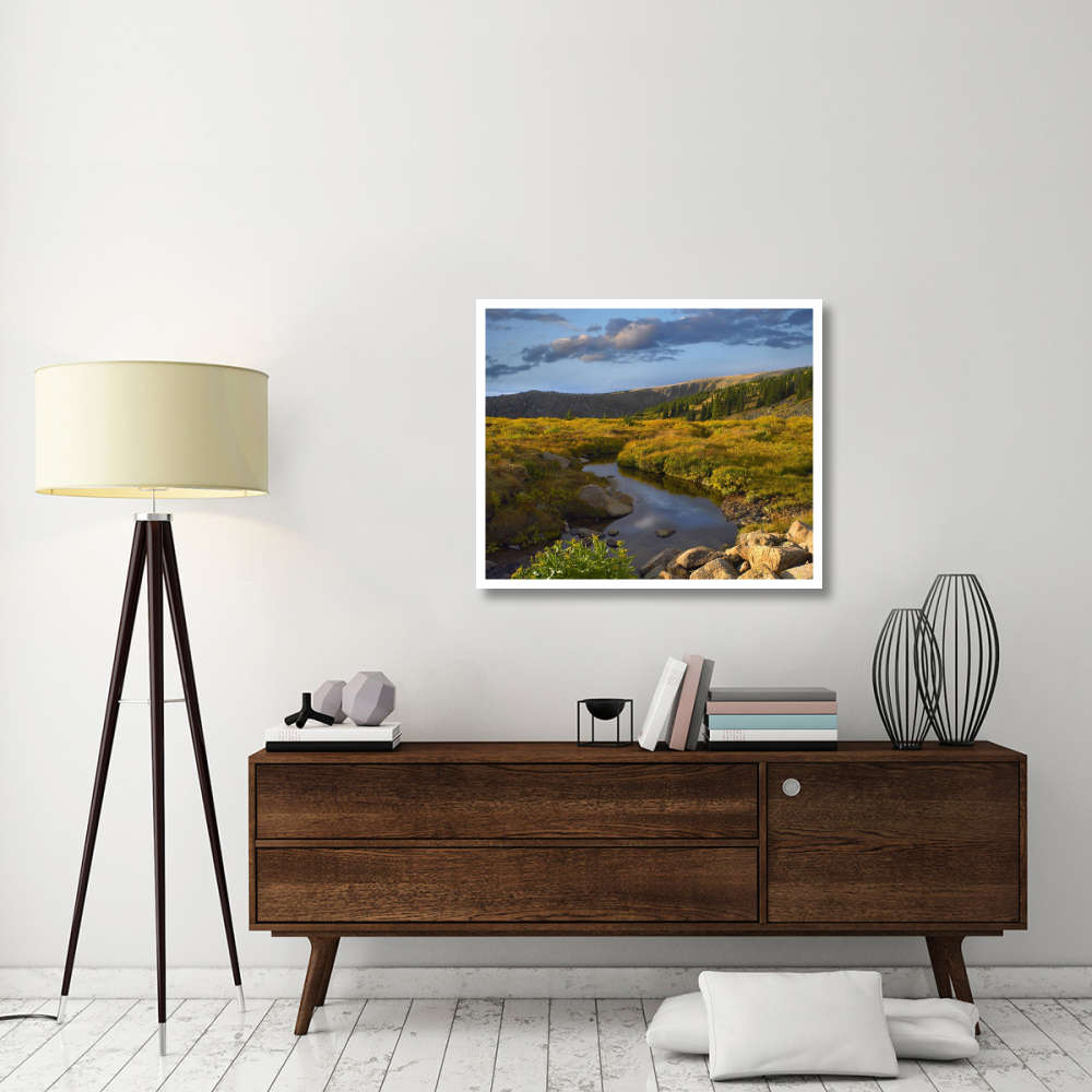Black Hills landscape showing prairie and Ponderosa Pines South Dakota-Paper Art-38&quotx31.88"