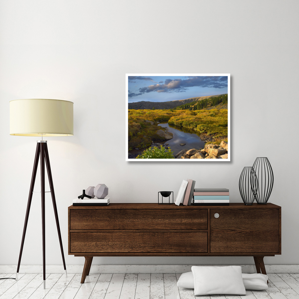 Black Hills landscape showing prairie and Ponderosa Pines South Dakota-Paper Art-42&quotx35.2"