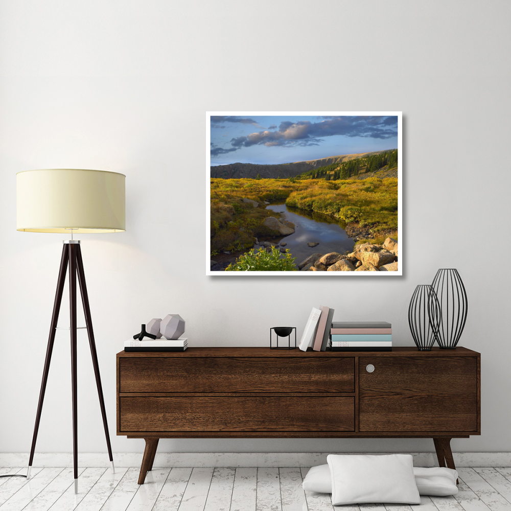 Black Hills landscape showing prairie and Ponderosa Pines South Dakota-Paper Art-46&quotx38.52"