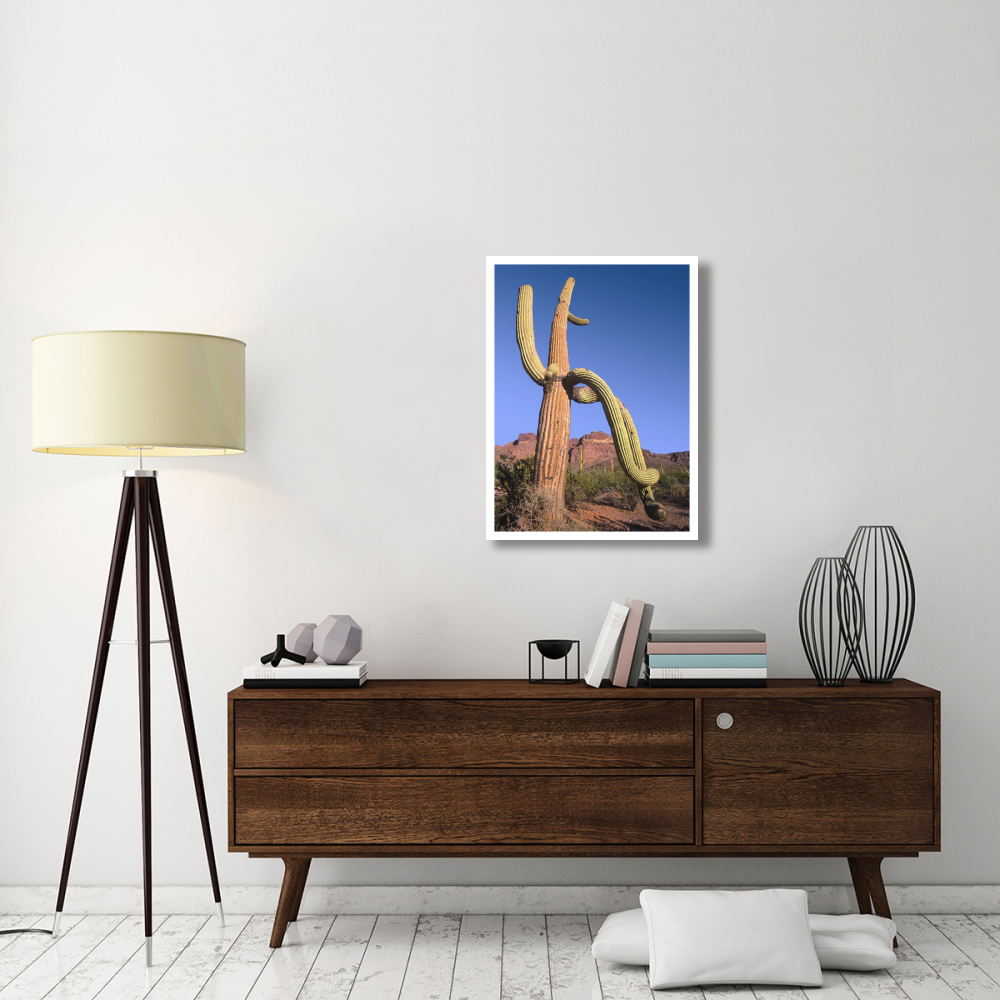 Ajo Mountains and Saguaro Organ Pipe Cactus National Monument, Arizona-Paper Art-26&quotx34"