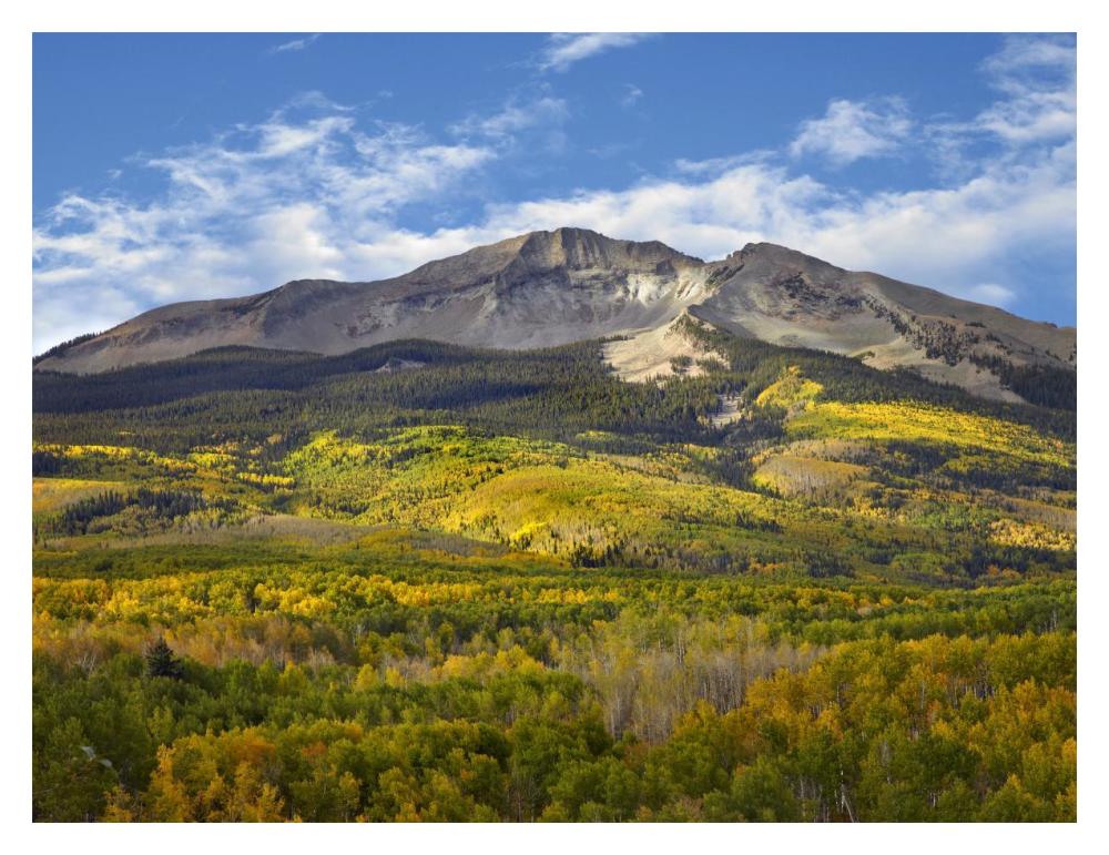 Aspen forest and East Beckwith Mountain, West Elk Wilderness, Colorado-Paper Art-18"x14"