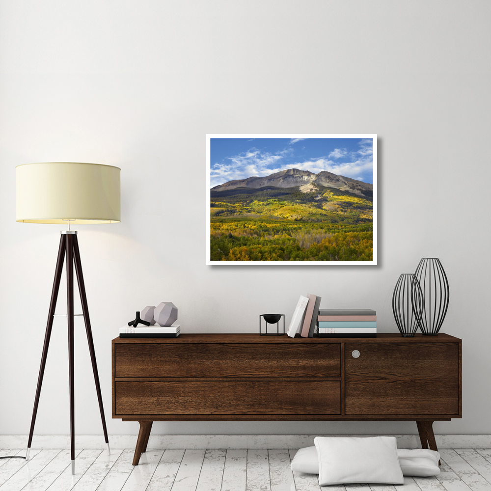 Aspen forest and East Beckwith Mountain, West Elk Wilderness, Colorado-Paper Art-42&quotx32"