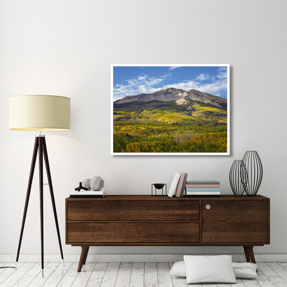 Aspen forest and East Beckwith Mountain, West Elk Wilderness, Colorado-Paper Art-50&quotx38"