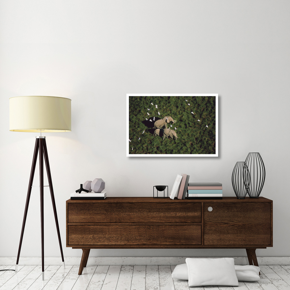 African Elephant parents and two calves with Cattle Egret flock, Kenya-Paper Art-38&quotx26"