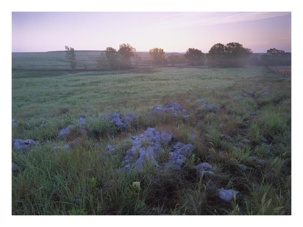Misty morning over prairie, Tallgrass Prairie National Preserve, Kansas-Paper Art-26"x20"