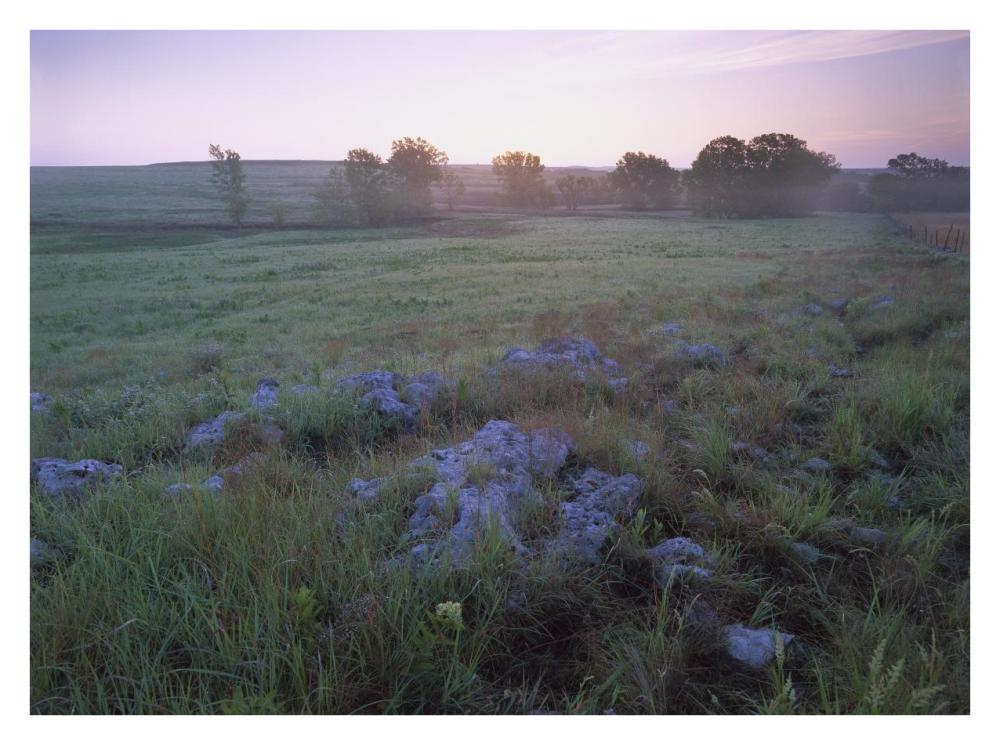 Misty morning over prairie, Tallgrass Prairie National Preserve, Kansas-Paper Art-34"x26"