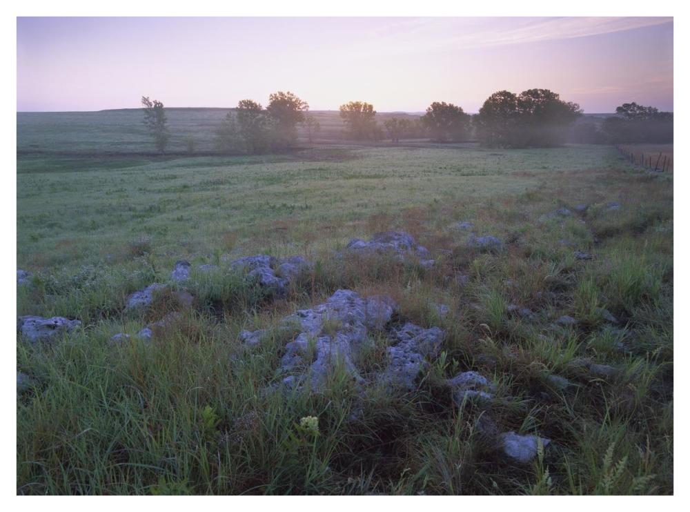 Misty morning over prairie, Tallgrass Prairie National Preserve, Kansas-Paper Art-42"x32"
