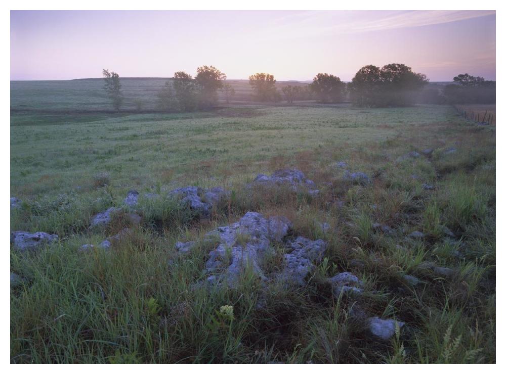 Misty morning over prairie, Tallgrass Prairie National Preserve, Kansas-Paper Art-50"x38"