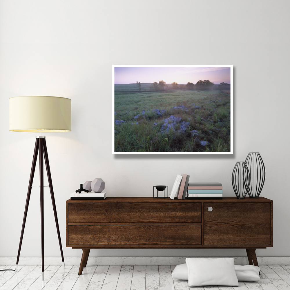 Misty morning over prairie, Tallgrass Prairie National Preserve, Kansas-Paper Art-50&quotx38"