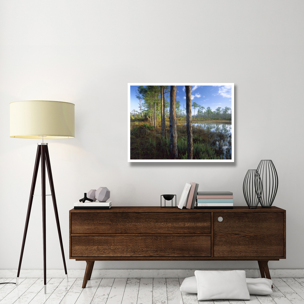 Pond near the Loxahatchee River, Jonathan Dickinson State Park, Florida-Paper Art-42&quotx32"