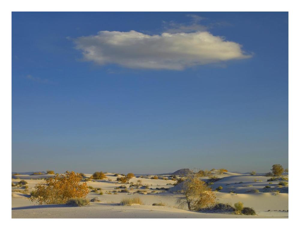 Cloud over White Sands National Monument, Chihuahuan Desert, New Mexico-Paper Art-26"x20"