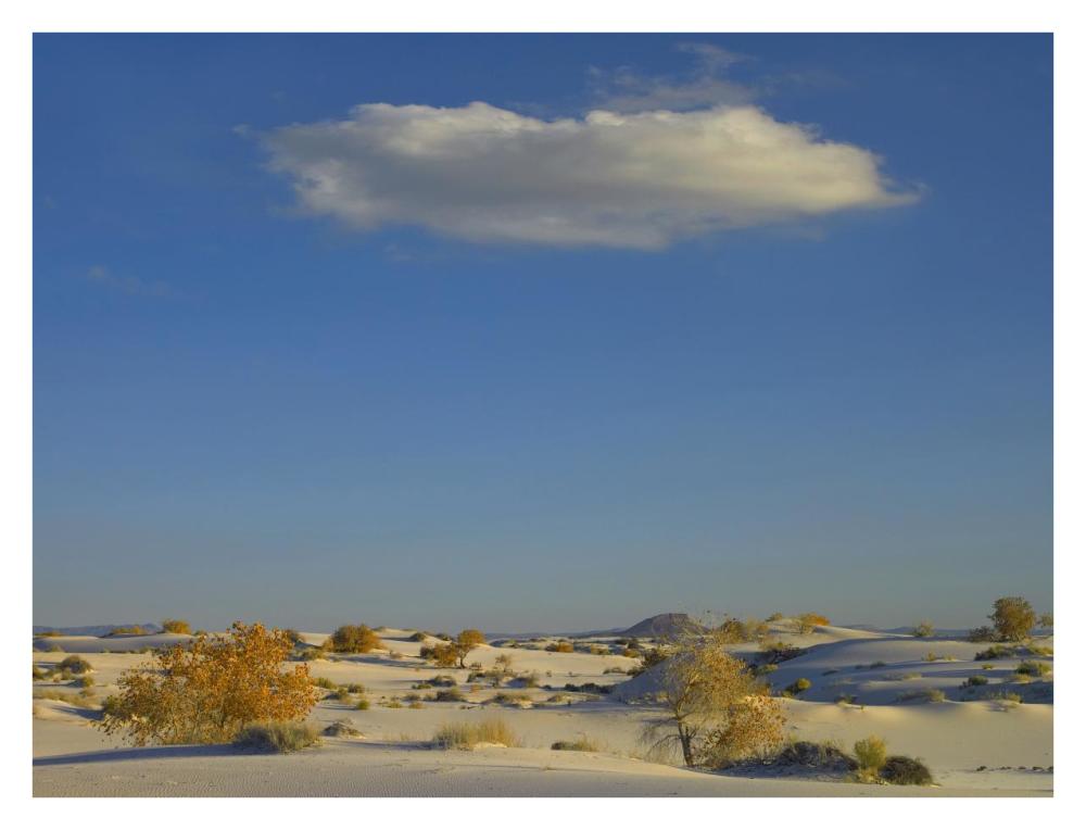 Cloud over White Sands National Monument, Chihuahuan Desert, New Mexico-Paper Art-34"x26"