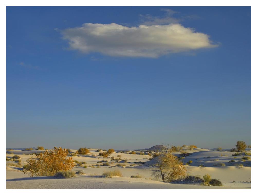 Cloud over White Sands National Monument, Chihuahuan Desert, New Mexico-Paper Art-42"x32"