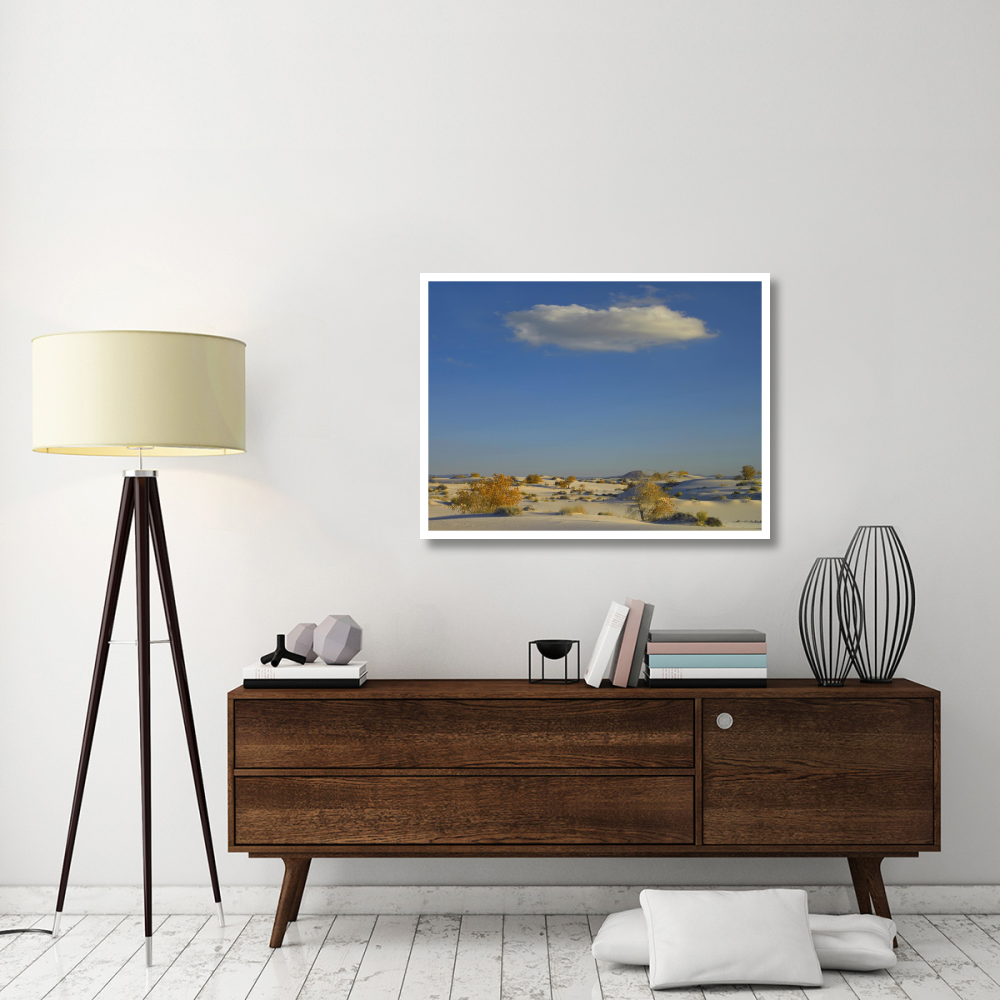 Cloud over White Sands National Monument, Chihuahuan Desert, New Mexico-Paper Art-42&quotx32"