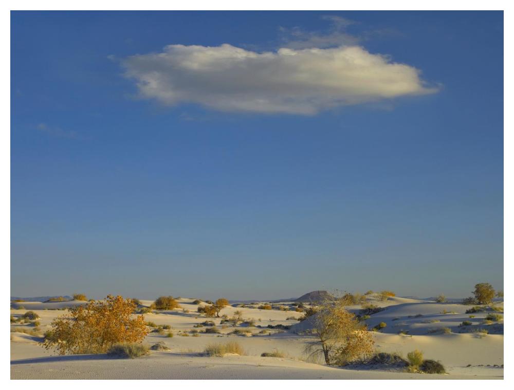 Cloud over White Sands National Monument, Chihuahuan Desert, New Mexico-Paper Art-50"x38"