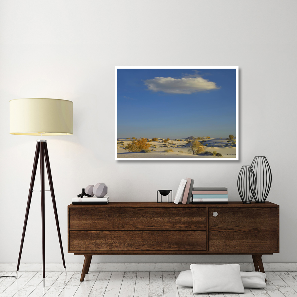 Cloud over White Sands National Monument, Chihuahuan Desert, New Mexico-Paper Art-50&quotx38"