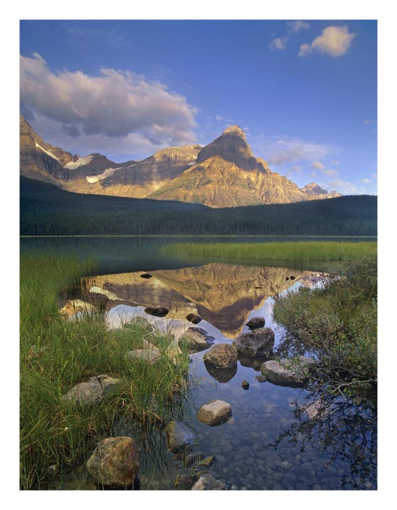 Mount Chephren and Waterfowl Lake, Banff National Park, Alberta, Canada-Paper Art-20"x26"