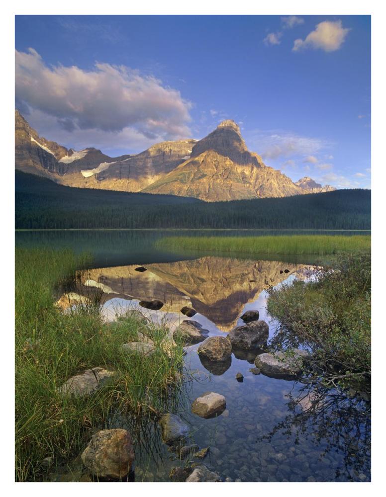 Mount Chephren and Waterfowl Lake, Banff National Park, Alberta, Canada-Paper Art-26"x34"